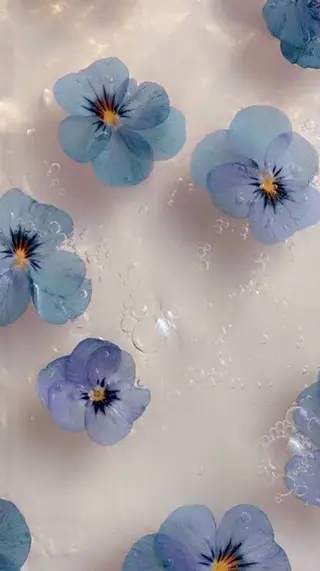 🦋 Natsumiのマツエク・マツパデザイン