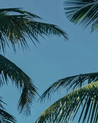 ブラジリアン☆WAX 🎖🌚YUKI🌚のエステ・リラクイメージ