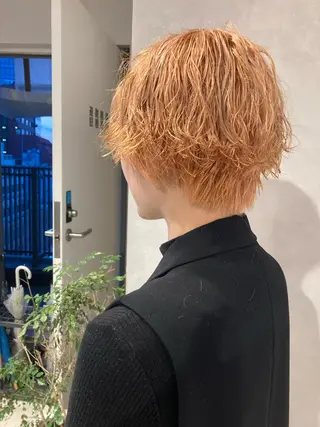 ショート カラー パーマ ✳️ウルフ/メンズ/ スパイラルパーマ✳️のヘアスタイル