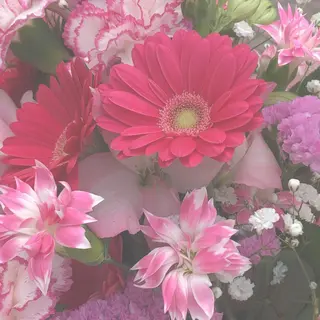 カラー Plaatje所属・Plaatje💐 ゆずはのヘアスタイル