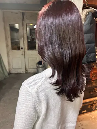 ミディアム カラー お任せヘア☘️☘️ 及川渚のヘアスタイル