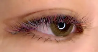 マツエク・マツパ Fameu+ HIMEKAのマツエク・マツパデザイン