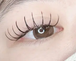 マツエク・マツパ Extension Tomato梅田店所属・Tomato 藤平のマツエク・マツパデザイン