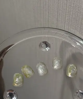 ネイル 🎀 Hiyubi._.nail 🫧所属・🎀フェイ フェイ🫧💗のネイルデザイン