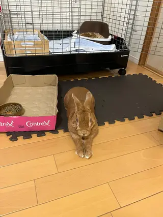 マツエク・マツパ Sona hair & eyelash salon所属・紙屋 隼人のヘアスタイル