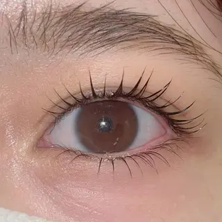 マツエク・マツパ ai一重専門🎀束感 まつげ🫧表参道のマツエク・マツパデザイン