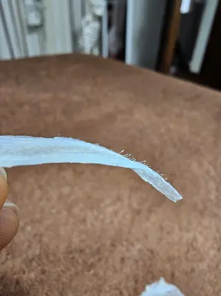 プライベートサロン Rilasisのエステ・リラクイメージ