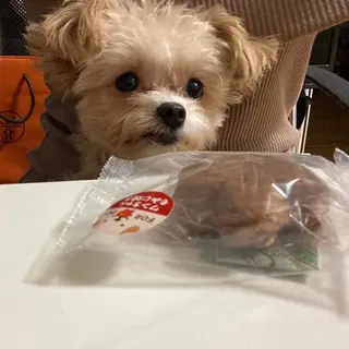 韓国ネイル💠 Tomoのネイルデザイン