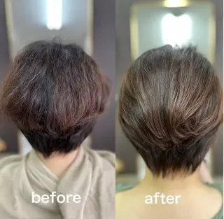 ショート カラー 本田 智美のヘアスタイル