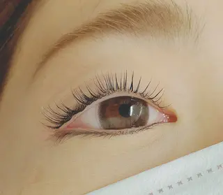 マツエク・マツパ 無料マツエク🪻 新宿駅西口徒歩7分の眉毛・アイブロウイメージ