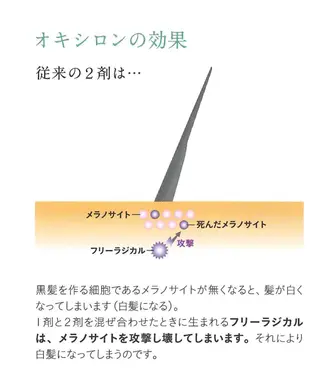 カラー ARC ginza所属・お母さんの白髪対策 ・白髪染め/松田直敏のヘアスタイル