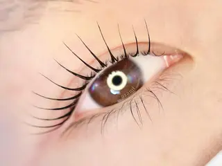 マツエク・マツパ まつ毛、眉毛 専門店🎀🐻のマツエク・マツパデザイン