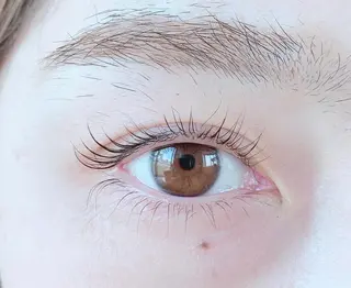 マツエク・マツパ ecru.eye 【元住吉】のマツエク・マツパデザイン