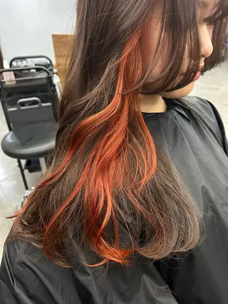 ロング カラー N/デザインカラー 🌿ナギのヘアスタイル