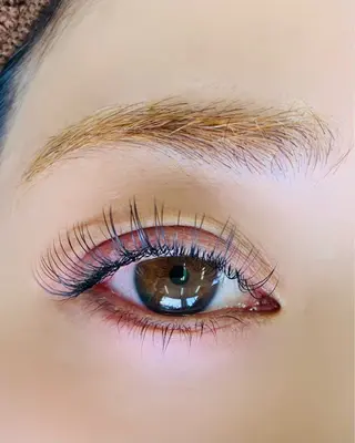 マツエク・マツパ oyat ..の眉毛・アイブロウイメージ