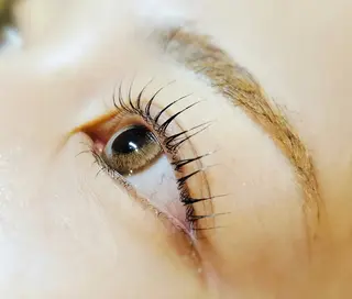 マツエク・マツパ ステラマリス所属・🌼ステラマリス🌼 Hiranoのマツエク・マツパデザイン