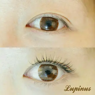 マツエク・マツパ Lupinus 国立店のマツエク・マツパデザイン