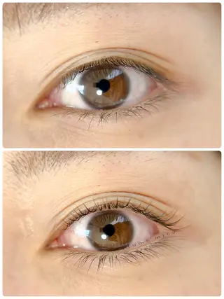 マツエク・マツパ Plume micoのマツエク・マツパデザイン