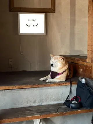 SLEEPY所属・葉山アイラッシュ サロン SLEEPYのマツエク・マツパデザイン