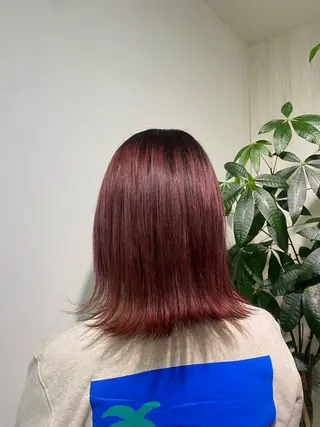 ミディアム カラー ヘアアレンジ 🌟小出　倫花🌟 艶カラー／カットのヘアスタイル