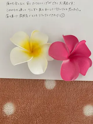 R E O T I A R A（レオティアラ）所属・高屋 昌子のその他イメージ