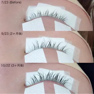 マツエク・マツパ 京橋/束感まつ毛& LED🦋藤本加奈のマツエク・マツパデザイン