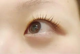 マツエク・マツパ hikari 🌻*.ﾟのマツエク・マツパデザイン