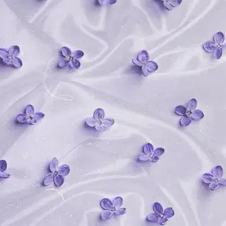 丸山 知夏のその他イメージ