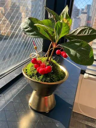 シュガーリングサロン　ダリア所属・Dahliaダリア シュガーリングサロンのエステ・リラクイメージ