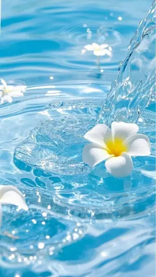 SUNNY 二俣川 yuri🌷のマツエク・マツパデザイン