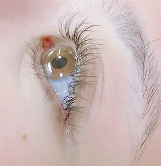 マツエク・マツパ EYELA 土浦店 幕内のマツエク・マツパデザイン