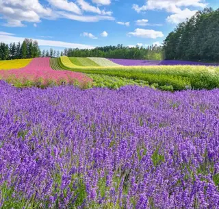 心身調律整体院 Lea mahaloのその他イメージ