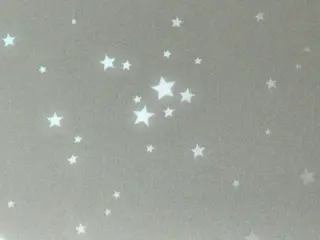 ネイル she saw me / shokoのネイルデザイン