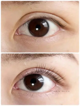 マツエク・マツパ Plume micoのマツエク・マツパデザイン