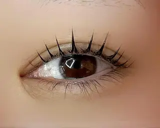 マツエク・マツパ Celeste Venus所属・🧸Celeste Venusのマツエク・マツパデザイン