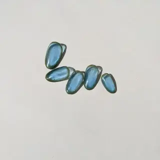 ネイル newrandas hitomiのネイルデザイン