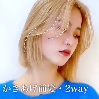 ショート カラー レイヤー専門家 ダブルカラー修のヘアスタイル