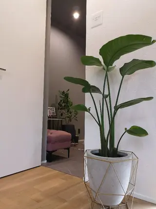 Hau'OliSpa ★SAYULI'のエステ・リラクイメージ