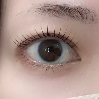 マツエク・マツパ templem 🪽shinoのマツエク・マツパデザイン