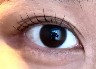 マツエク・マツパ Venus Beauty銀座のマツエク・マツパデザイン