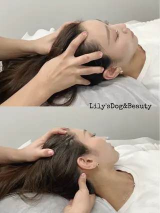 Amaranth所属・Lupinus 小顔矯正のエステ・リラクイメージ