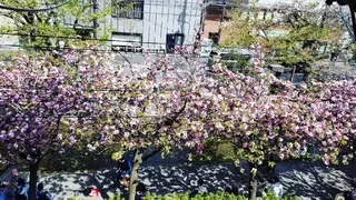 spa hair  ark 富井直美のヘアスタイル