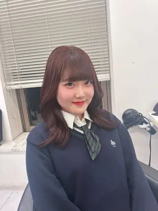 ロング ブリーチなしカラー/ ブラウン/レイヤーのヘアスタイル