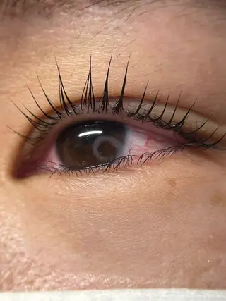 マツエク・マツパ Fino Chibaのマツエク・マツパデザイン