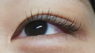 マツエク・マツパ angelux 所属・完全個室サロン🌹 angelux🌹のマツエク・マツパデザイン