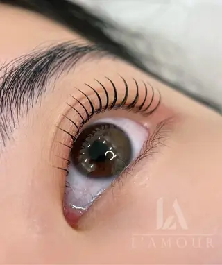 マツエク・マツパ L'amour 御徒町所属・L'amour御徒町 🎀MoMo🎀のエステ・リラクイメージ