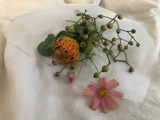 basico  のエステ・リラクイメージ