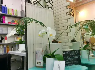 まつエク メンズ ロング ショート ネイル キッズ カラー パーマ ヘアアレンジ セミロング ミディアム SG アイラッシュ ラッシュリフト🌟のその他イメージ