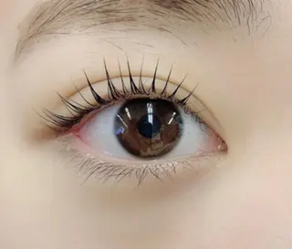 マツエク・マツパ Lucia 小川のマツエク・マツパデザイン