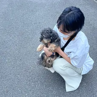 TIDEHAIR SHIHOのヘアスタイル